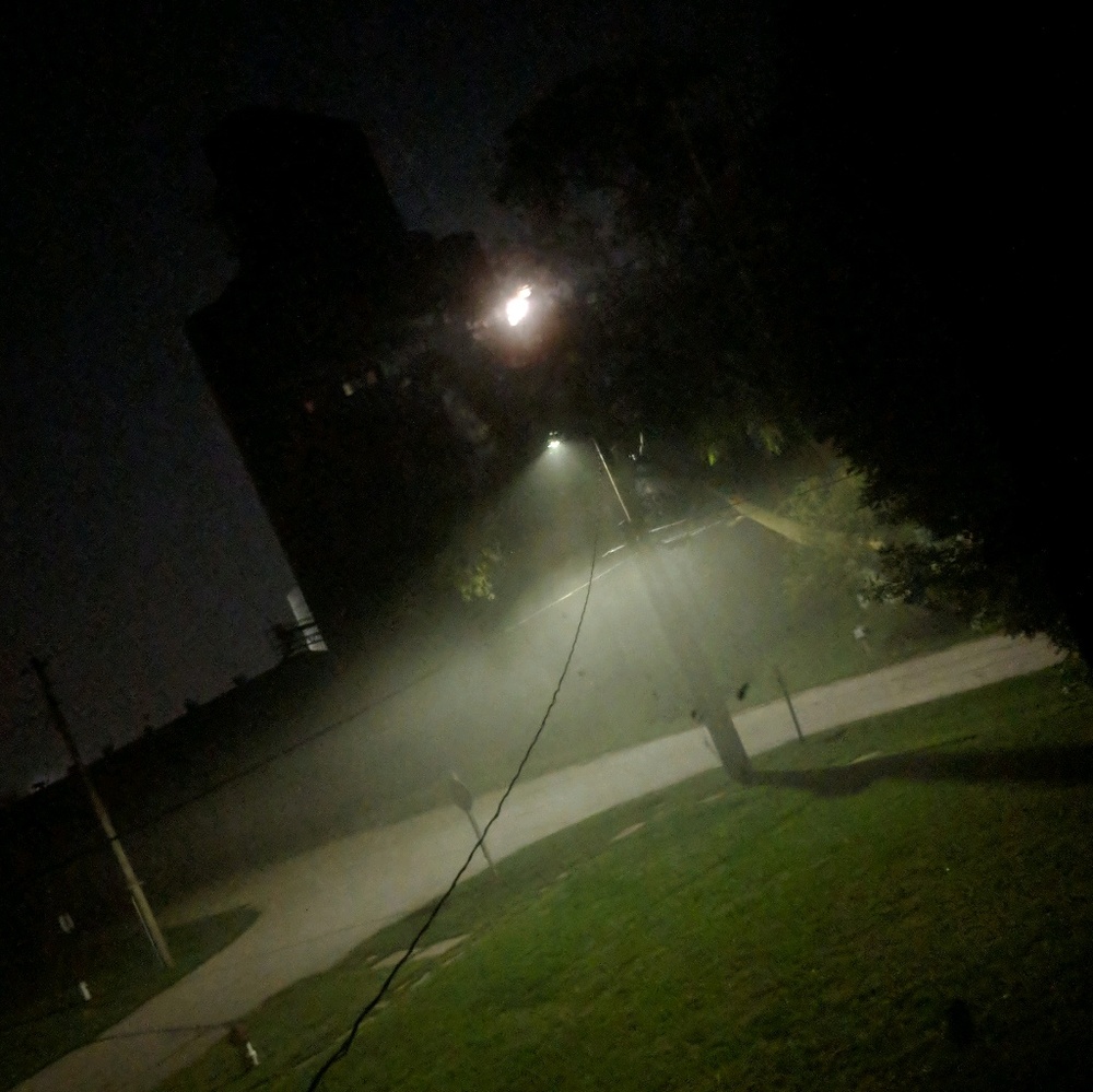 Meet your Posher, Oscar